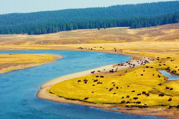 【2CanGo】American West 5-Day Yellowstone Hot Springs Essence Tour - Image 3