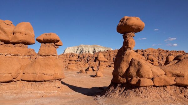 Toadstools