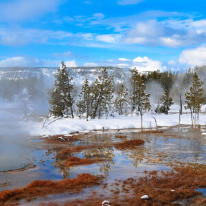 Limited-Time Gateway Deals 4-Day Winter Yellowstone Tour