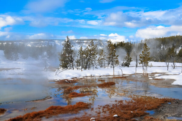 Limited-Time Gateway Deals 4-Day Winter Yellowstone Tour