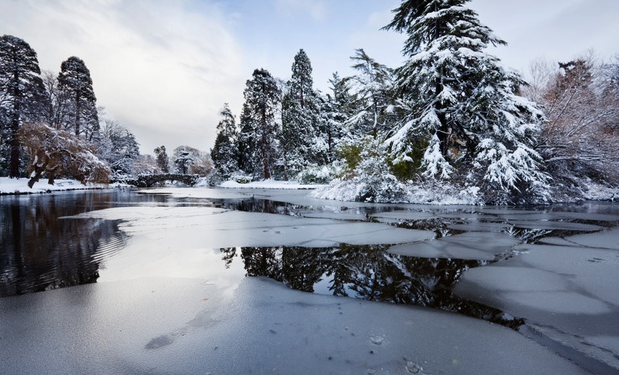 5-Day Winter Yellowstone Tour