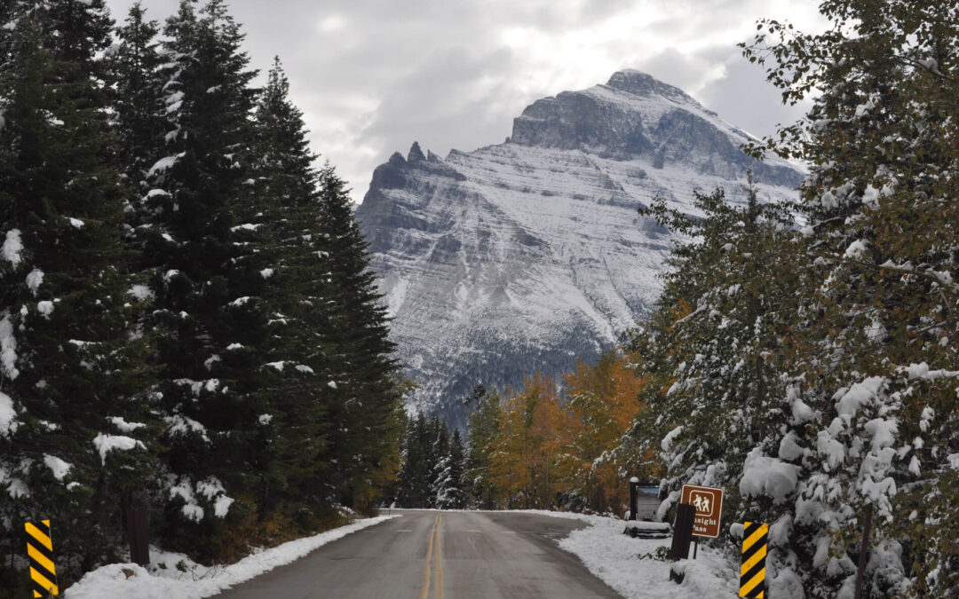 American West: Yellowstone, Grand Teton & Glacier National Parks 8-Day Tour