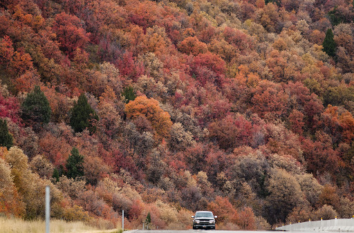 【2CanGo】Explore the Majestic Beauty: A 7-Day Tour Through the West’s National Parks