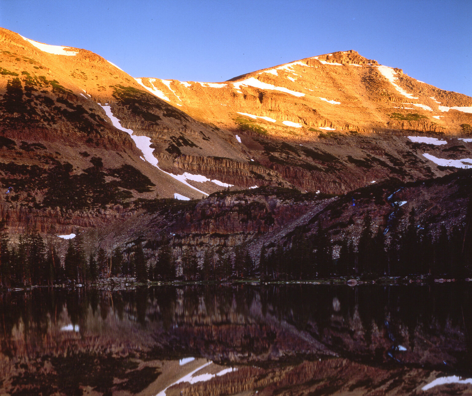 Mt Hayden_Uintah National Forest_Tom TIll004 (1)