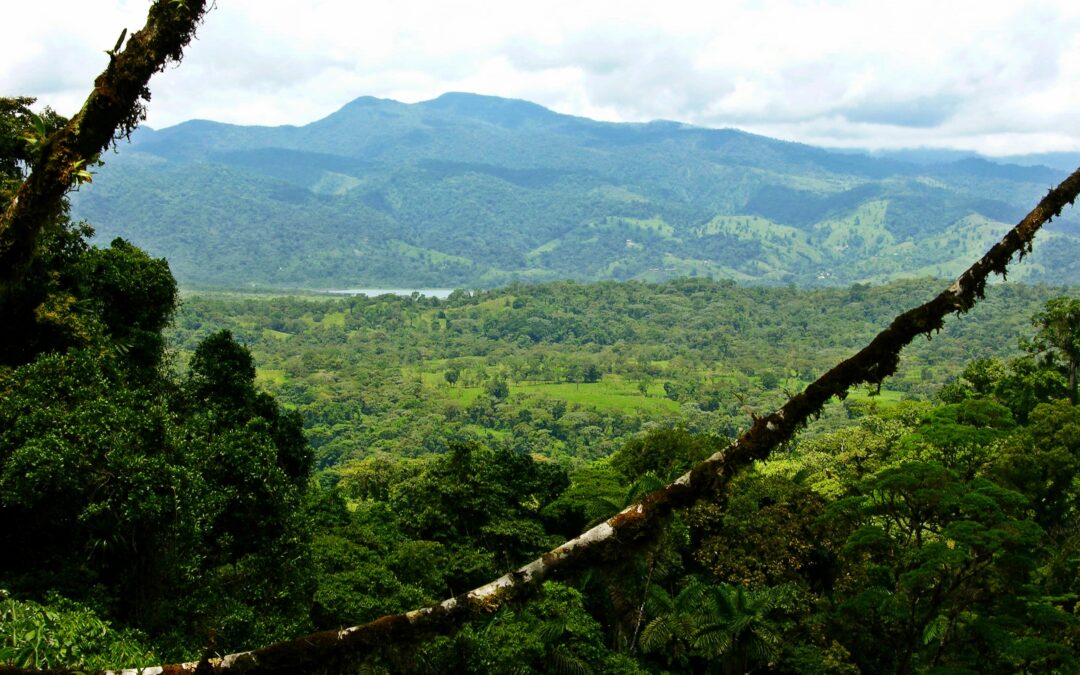 Natural Costa Rica Tour 7D/6N